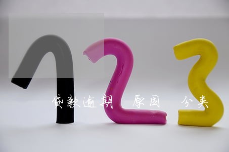 贷款逾期 原因 分类 贷款逾期 原因 分类